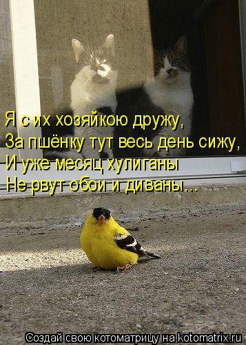 Я с их хозяйкою дружу, За пшёнку тут весь день сижу, И уже месяц хулиганы Не рвут обои и диваны...... Котоматрица: Я с их хозяйкою дружу, За пшёнку тут весь день сижу, И уже месяц хулиганы Не рвут обои и диваны...