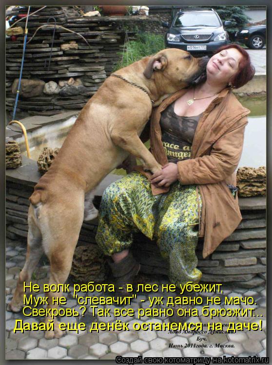 Не волк работа - в лес не убежит, Свекровь? Так все равно она брюзжит... Давай еще денёк останемся на... Котоматрица: Не волк работа - в лес не убежит, Свекровь? Так все равно она брюзжит... Давай еще денёк останемся на даче! Муж не "слевачит" - уж давно не мачо.