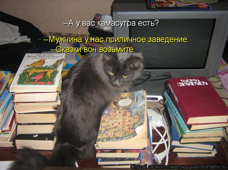 Котоматрица: --А у вас камасутра есть? --Мужчина у нас приличное заведение. --Сказки вон возьмите.