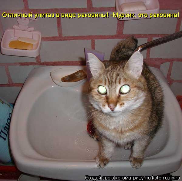 Котоматрица: Отличный унитаз в виде раковины! -Мурзик, это раковина!