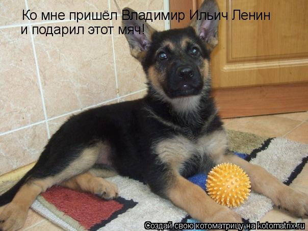 Котоматрица: Ко мне пришёл Владимир Ильич Ленин и подарил этот мяч!