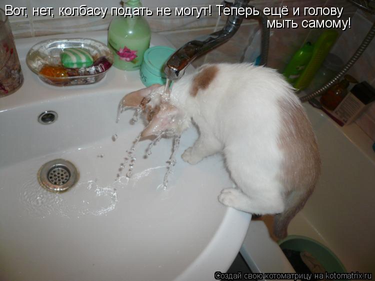 Котоматрица: Вот, нет, колбасу подать не могут! Теперь ещё и голову мыть самому!