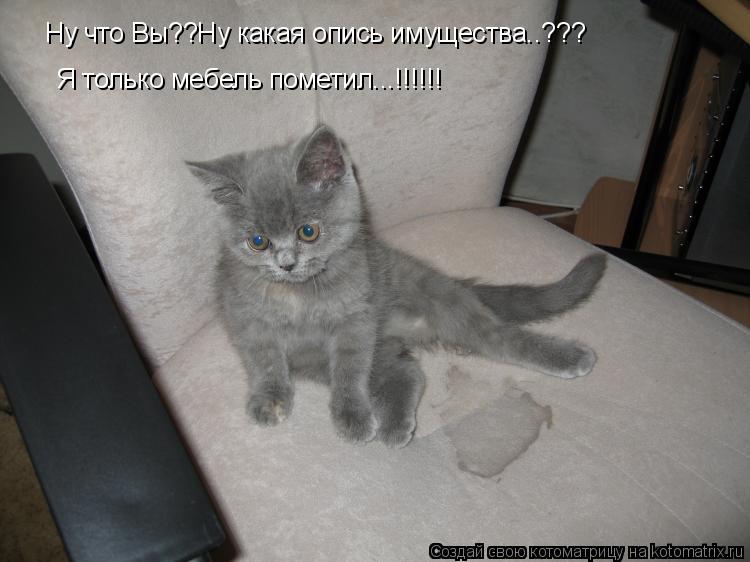 Котоматрица: Ну что Вы??Ну какая опись имущества..??? Я только мебель пометил...!!!!!!