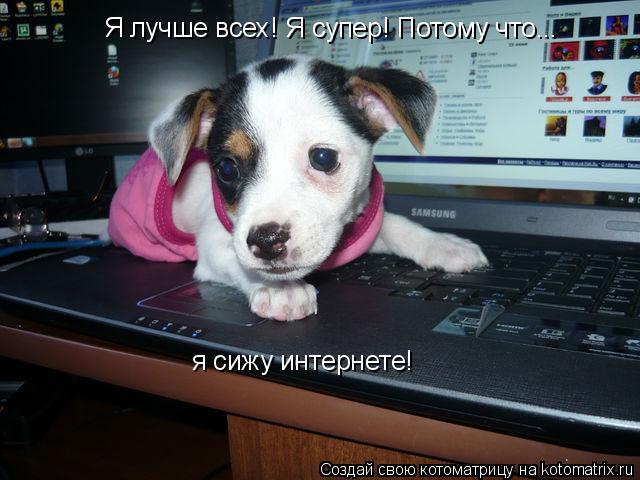 Я лучше всех! Я супер! Потому что... я сижу интернете!... Котоматрица: Я лучше всех! Я супер! Потому что... я сижу интернете!