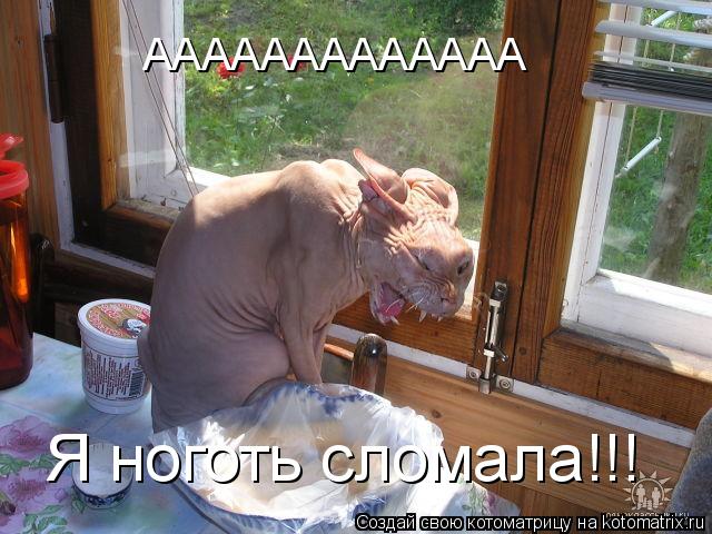 ААААААААААААА Я ноготь сломала!!!... Котоматрица: ААААААААААААА Я ноготь сломала!!!
