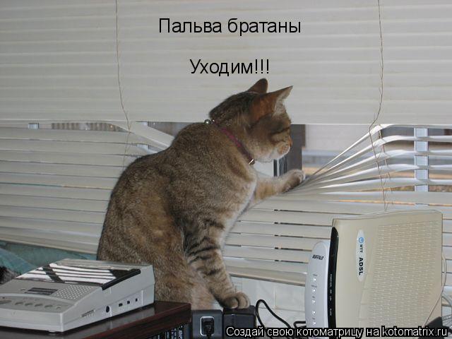Пальва братаны Уходим!!!... Котоматрица: Пальва братаны Уходим!!!