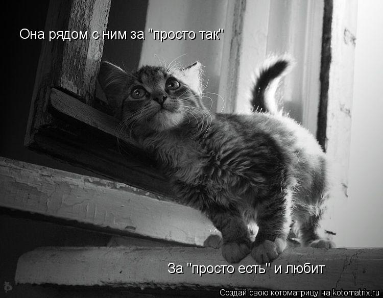 Котоматрица: Она рядом с ним за "просто так" За "просто есть" и любит