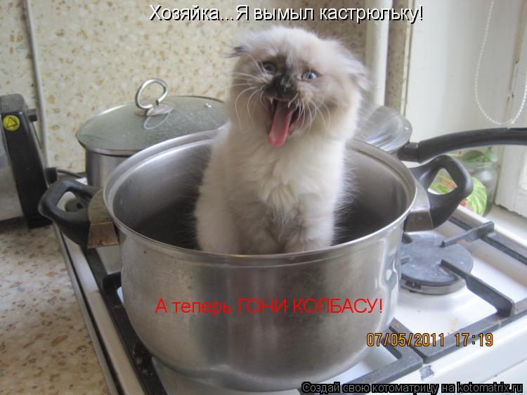 Котоматрица: Хозяйка...Я вымыл кастрюльку! А теперь ГОНИ КОЛБАСУ!