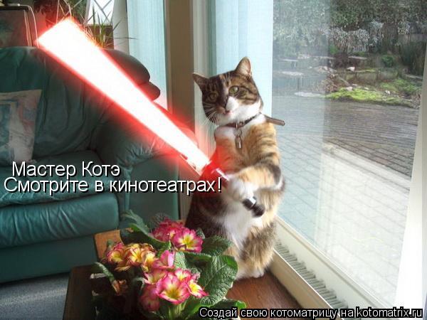 Котоматрица: Мастер Котэ Смотрите в кинотеатрах!
