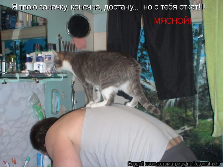 Котоматрица: Я твою заначку, конечно, достану.... но с тебя откат!!!  МЯСНОЙ!