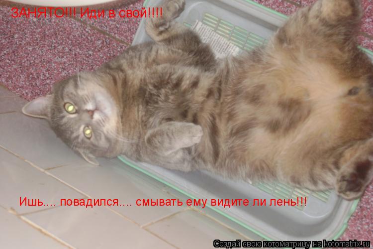 Котоматрица: ЗАНЯТО!!! Иди в свой!!!!  Ишь.... повадился.... смывать ему видите ли лень!!!