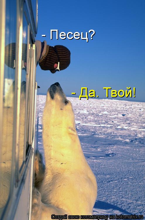 - Песец? - Да. Твой!... Котоматрица: - Песец? - Да. Твой!