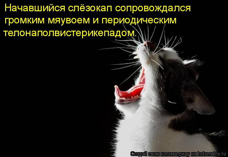 Начавшийся слёзокап сопровождался громким мяувоем и периодическим телонаполвистерикепадом.... Котоматрица: Начавшийся слёзокап сопровождался громким мяувоем и периодическим телонаполвистерикепадом.