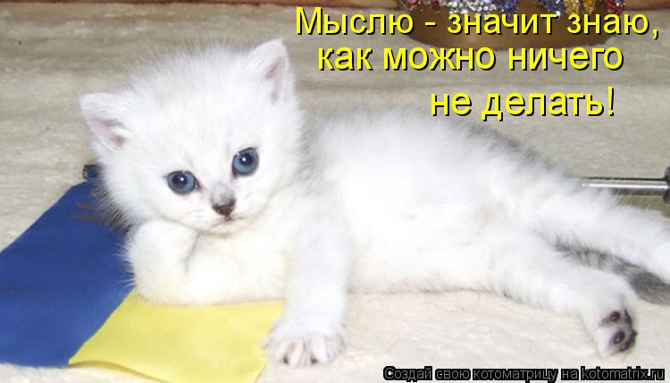 Мыслю - значит знаю, как можно ничего не делать!... Котоматрица: Мыслю - значит знаю, как можно ничего не делать!
