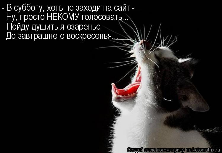 - В субботу, хоть не заходи на сайт - Ну, просто НЕКОМУ голосовать... Пойду душить я озаренье До зав... Котоматрица: - В субботу, хоть не заходи на сайт - Ну, просто НЕКОМУ голосовать... Пойду душить я озаренье До завтрашнего воскресенья...
