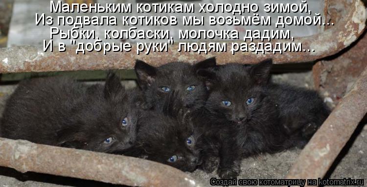 Маленьким котикам холодно зимой, Из подвала котиков мы возьмём домой... Рыбки, колбаски, молочка дади... Котоматрица: Маленьким котикам холодно зимой, Из подвала котиков мы возьмём домой... Рыбки, колбаски, молочка дадим, И в "добрые руки" людям раздадим...