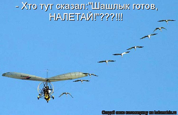 - Хто тут сказал:"Шашлык готов, НАЛЕТАЙ!"???!!!... Котоматрица: - Хто тут сказал:"Шашлык готов, НАЛЕТАЙ!"???!!!