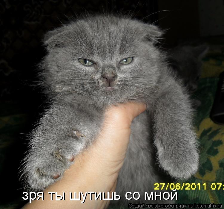 зря ты шутишь со мной... Котоматрица: зря ты шутишь со мной