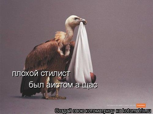 плохой стилист был аистом а щас... Котоматрица: плохой стилист был аистом а щас