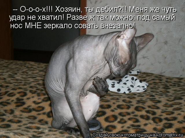-- О-о-о-х!!! Хозяин, ты дебил?!! Меня же чуть удар не хватил! Разве ж так можно: под самый нос МНЕ ... Котоматрица: -- О-о-о-х!!! Хозяин, ты дебил?!! Меня же чуть удар не хватил! Разве ж так можно: под самый нос МНЕ зеркало совать внезапно!