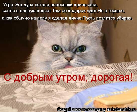 Утро.Эта дура встала,волосенки причесала, сонно в ванную ползет.Там ее подарок ждет.Не в горшке, а ка... Котоматрица: Утро.Эта дура встала,волосенки причесала, сонно в ванную ползет.Там ее подарок ждет.Не в горшке, а как обычно,на полу я сделал лично.Пусть по