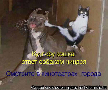 Кунг-фу кошка ответ собакам ниндзя Смотрите в кинотеатрах города... Котоматрица: Кунг-фу кошка ответ собакам ниндзя Смотрите в кинотеатрах города