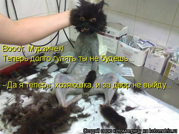 Вооот, Мурзичек! Теперь долго гулять ты не будешь... - Да я теперь, хозяюшка, и за двор не выйду...... Котоматрица: Вооот, Мурзичек! Теперь долго гулять ты не будешь... - Да я теперь, хозяюшка, и за двор не выйду...