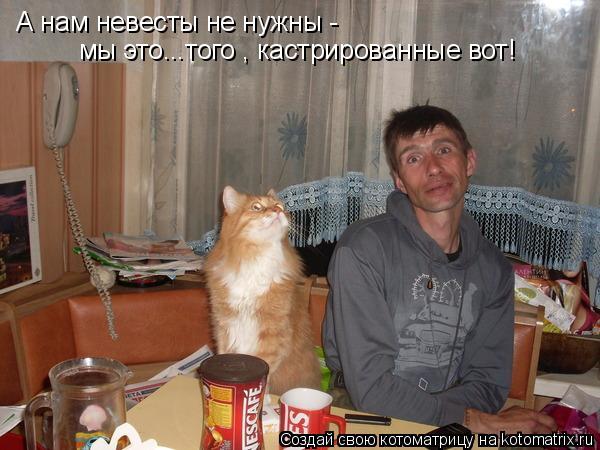 А нам невесты не нужны - мы это...того , кастрированные вот!... Котоматрица: А нам невесты не нужны - мы это...того , кастрированные вот!