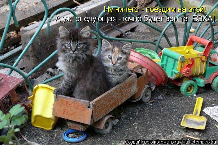 Ну ничего - поездим на этой! А уж следующая -точно будет вон та БЭХА!... Котоматрица: Ну ничего - поездим на этой! А уж следующая -точно будет вон та БЭХА!