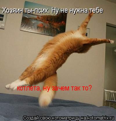 Хозяин ты-псих. Ну не нужна тебе котлета, ну зачем так то?... Котоматрица: Хозяин ты-псих. Ну не нужна тебе котлета, ну зачем так то?