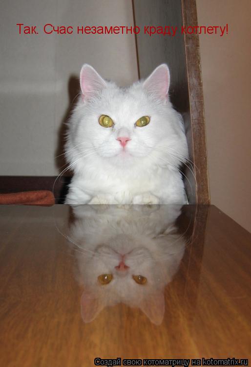 Котоматрица: Так. Счас незаметно краду котлету!