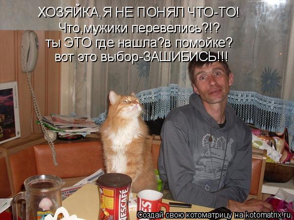 Котоматрица: Что,мужики перевелись?!? ты ЭТО где нашла?в помойке? вот это выбор-ЗАШИБИСЬ!!! ХОЗЯЙКА,Я НЕ ПОНЯЛ ЧТО-ТО!