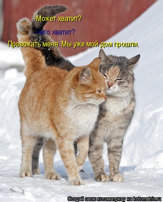 Котоматрица: -Может хватит? -Чего хватит? Провожать меня. Мы уже мой дом прошли.