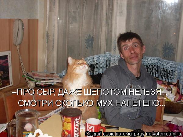 Котоматрица: --ПРО СЫР, ДАЖЕ ШЕПОТОМ НЕЛЬЗЯ... СМОТРИ СКОЛЬКО МУХ НАЛЕТЕЛО...