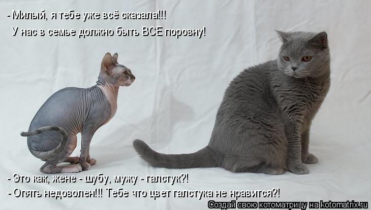 - Это как, жене - шубу, мужу - галстук?! - Опять недоволен!!! Тебе что цвет галстука не нравится?! -... Котоматрица: - Это как, жене - шубу, мужу - галстук?! - Опять недоволен!!! Тебе что цвет галстука не нравится?! - Милый, я тебе уже всё сказала!!! У нас в семье