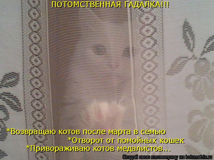 Котоматрица: ПОТОМСТВЕННАЯ ГАДАЛКА!!! *Возвращаю котов после марта в семью *Отворот от помойных кошек *Привораживаю котов медалистов...