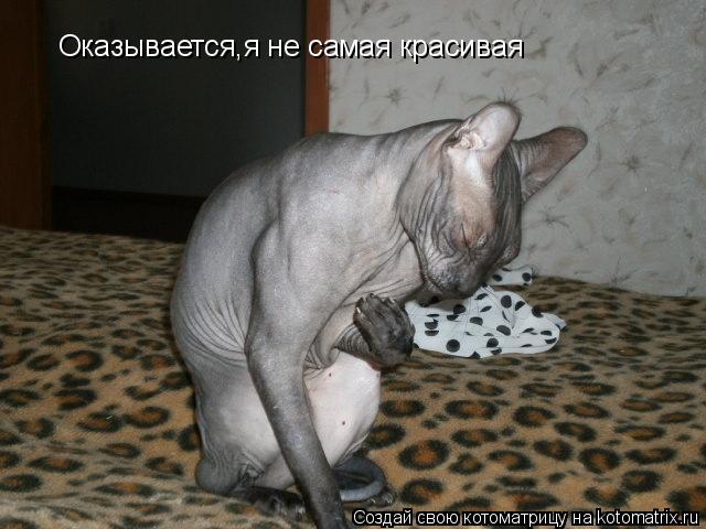 Котоматрица: Оказывается,я не самая красивая