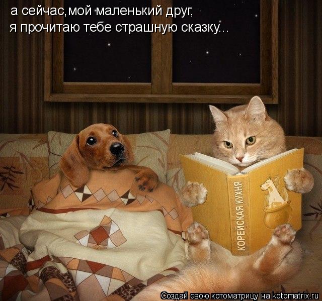 Котоматрица: а сейчас,мой маленький друг, я прочитаю тебе страшную сказку...