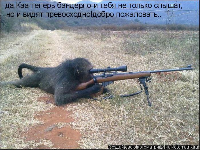 Котоматрица: да,Каа!теперь бандерлоги тебя не только слышат, но и видят превосходно!добро пожаловать..