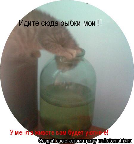 Котоматрица: Идите сюда рыбки мои!!! У меня в животе вам будет уютне-е!