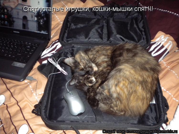 Котоматрица: Спят усталые игрушки, кошки-мышки спят!!!