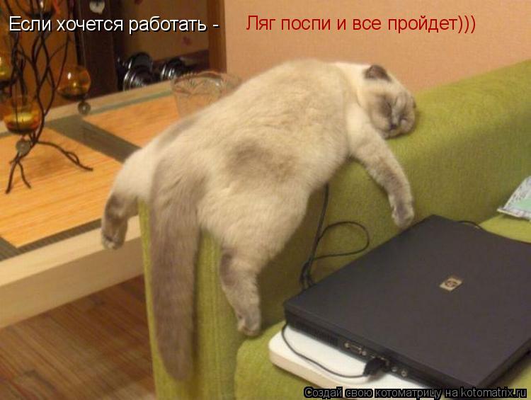 Котоматрица: Если хочется работать -  Ляг поспи и все пройдет)))