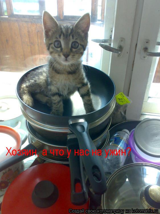 Котоматрица: Хозяин, а что у нас на ужин?