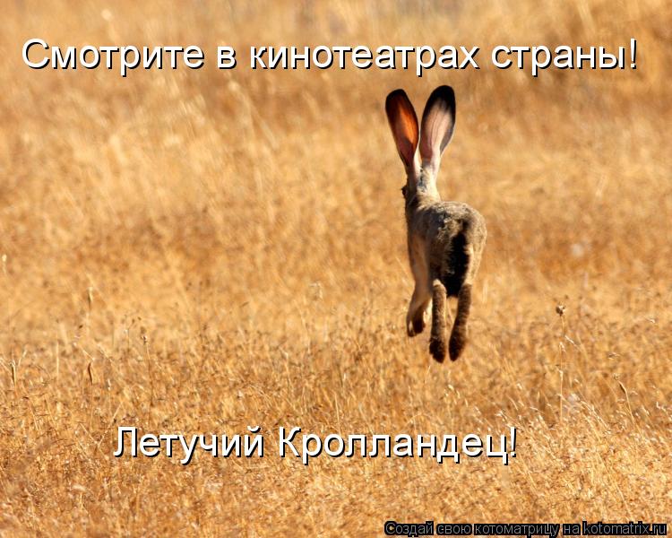 Котоматрица: Смотрите в кинотеатрах страны! Летучий Кролландец!