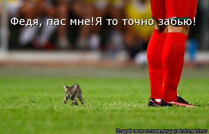 Котоматрица: Федя, пас мне!Я то точно забью!