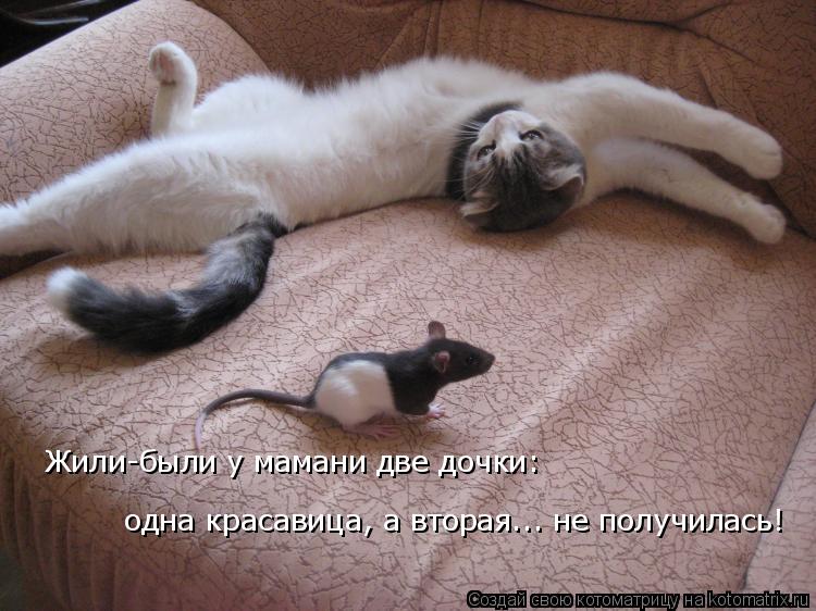 Котоматрица: Жили-были у мамани две дочки:  одна красавица, а вторая... не получилась!