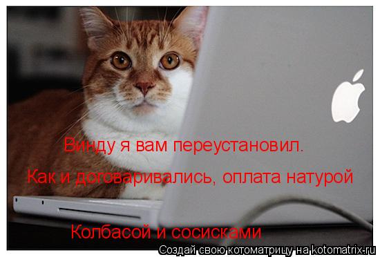 Котоматрица: Винду я вам переустановил. Как и договаривались, оплата натурой Колбасой и сосисками