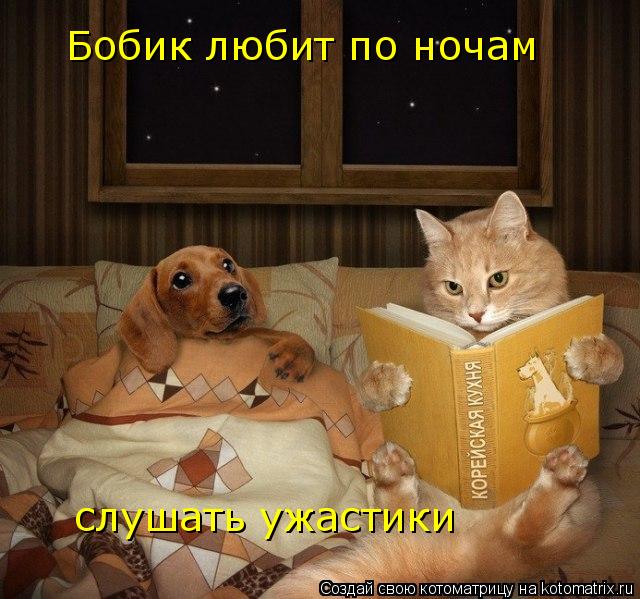 Котоматрица: Бобик любит по ночам  слушать ужастики