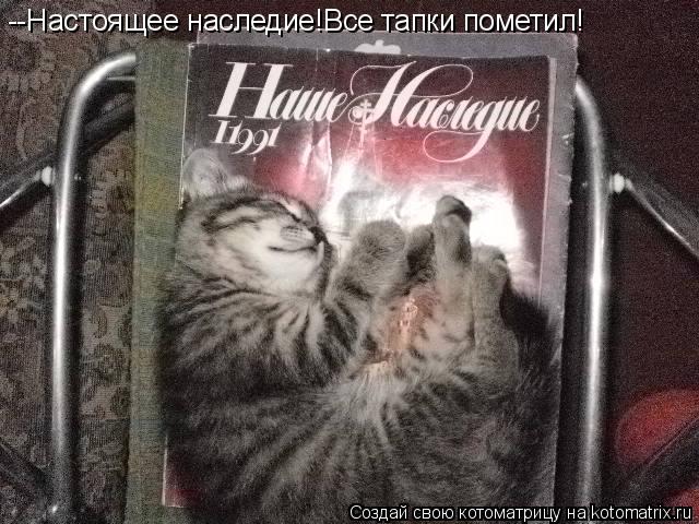 Котоматрица: --Настоящее наследие!Все тапки пометил!