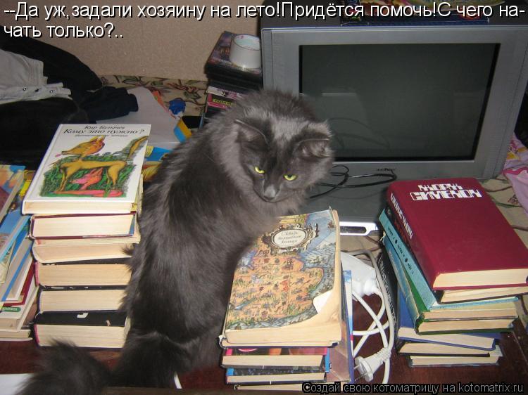 --Да уж,задали хозяину на лето!Придётся помочь!С чего на- чать только?..... Котоматрица: --Да уж,задали хозяину на лето!Придётся помочь!С чего на- чать только?..